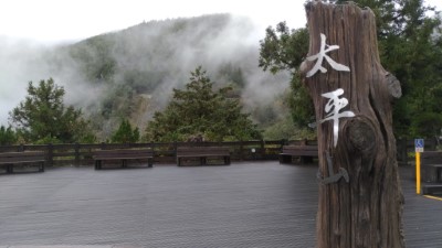 太平山莊獼猴出沒 